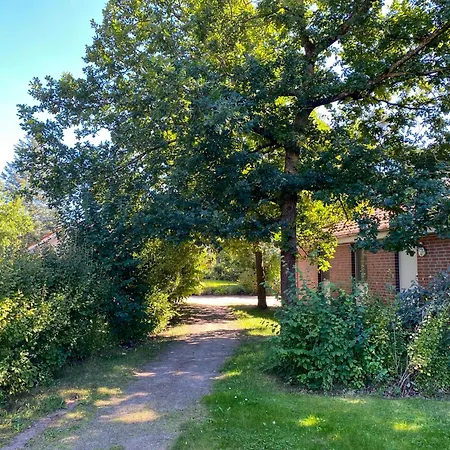 Neubau Wiesengeflüster W1 Mit Garten, Innensauna Und Kamin