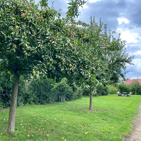 Neubau Wiesengefluester W1 Mit Garten, Innensauna Und Kamin *