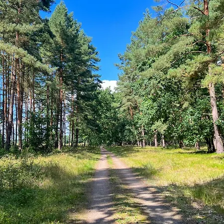 Prázdninový dům Neubau Wiesengefluester W1 Mit Garten, Innensauna Und Kamin
