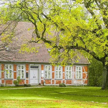 Ferienhaus Neubau Wiesengeflüster W1 Mit Garten, Innensauna Und Kamin Röbel